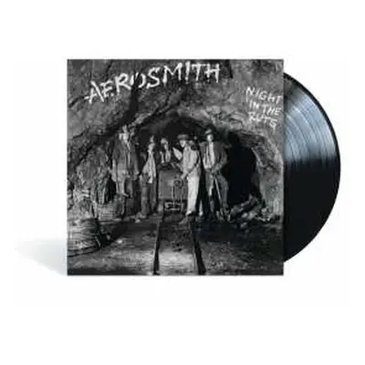 LP Aerosmith: Night In The Ruts