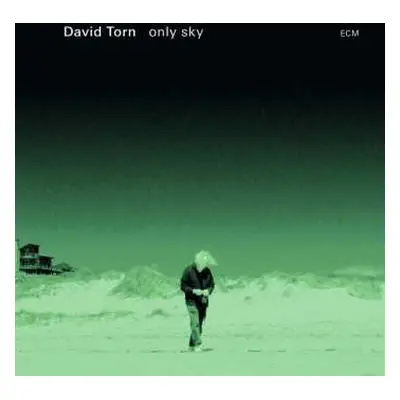 CD David Torn: Only Sky