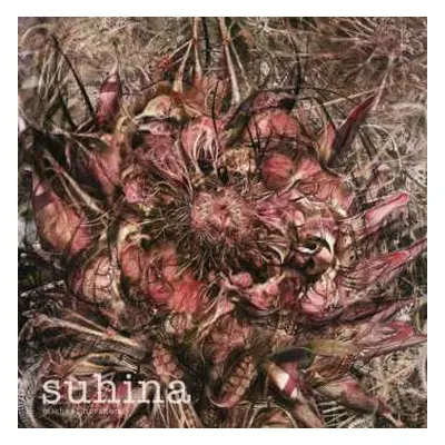 EP Michael Northam: Suhina CLR | LTD