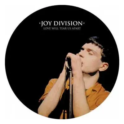 LP Joy Division: Love Will Tear Us Apart PIC