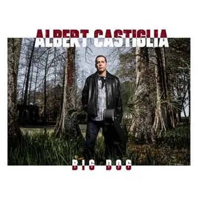 CD Albert Castiglia: Big Dog