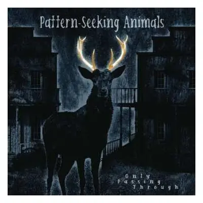 2LP/CD Pattern-Seeking Animals: Only Passing Through