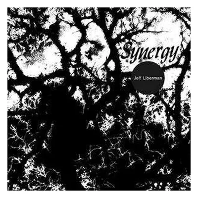 LP Jeffery Liberman: Synergy