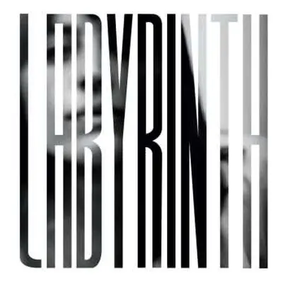 LP Heather Woods Broderick: Labyrinth