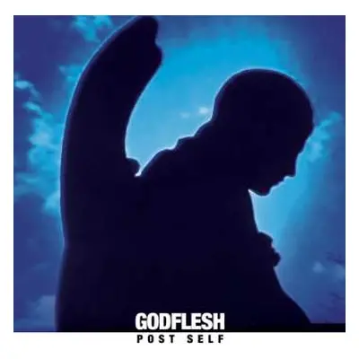 LP Godflesh: Post Self CLR