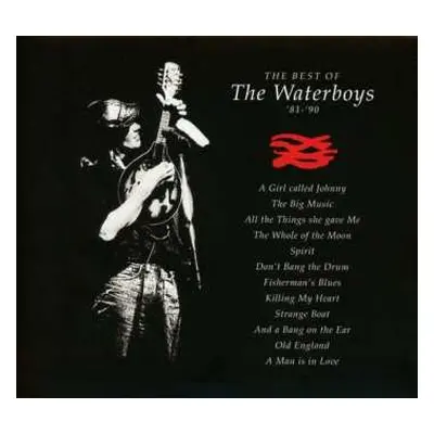 CD The Waterboys: The Best Of The Waterboys '81 - '90