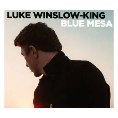 CD Luke Winslow-King: Blue Mesa