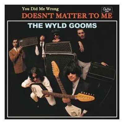 SP The Wyld Gooms: You Did Me Wrong / Doesn't Matter To Me