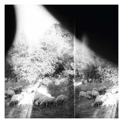 CD Godspeed You! Black Emperor: Asunder, Sweet And Other Distress