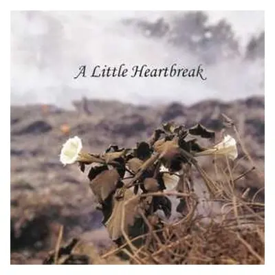 CD Jan Norris: A Little Heartbreak