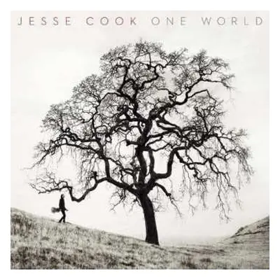 CD Jesse Cook: One World