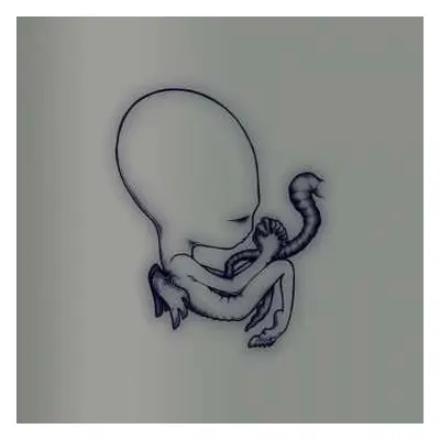 4CD/Box Set Sigur Rós: Ágætis Byrjun (A Good Beginning) DLX