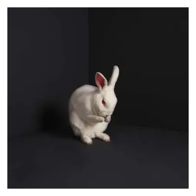 LP Brume: Rabbits