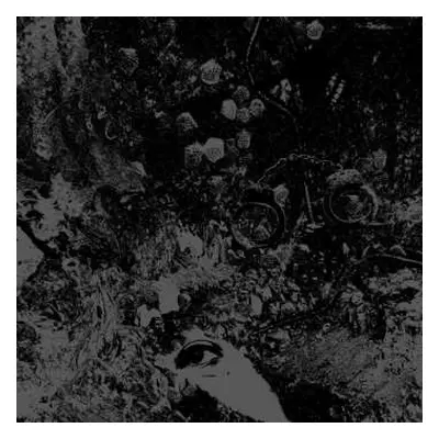 LP Primitive Man: Split