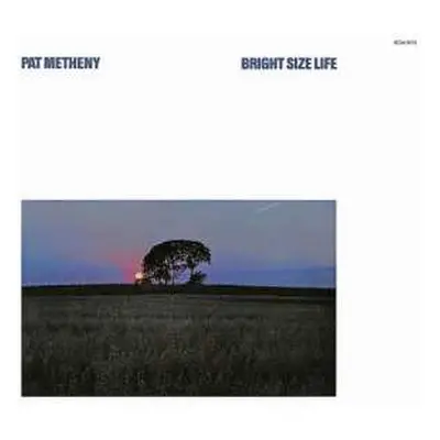 CD Pat Metheny: Bright Size Life