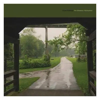 LP Cloud Nothings: The Shadow I Remember