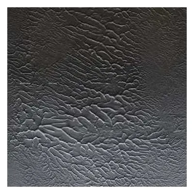 2LP Matrixxman: Homesick LTD | CLR