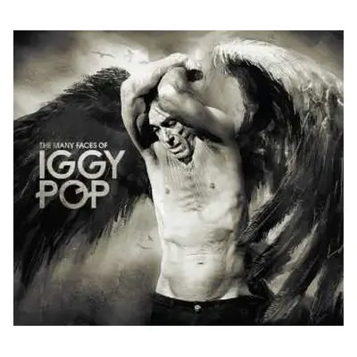 3CD Iggy Pop: The Many Faces Of Iggy Pop (A Journey Through The Inner World Of Iggy Pop) DIGI