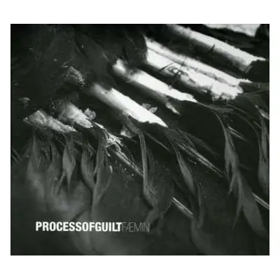 CD Process Of Guilt: Fæmin LTD | DIGI