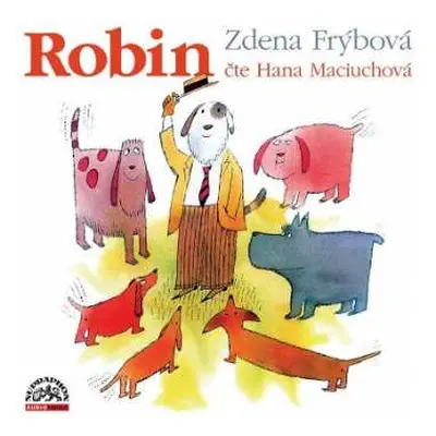 CD Hana Maciuchová: Frýbová: Robin