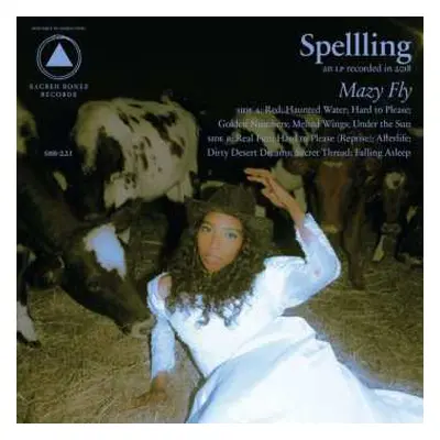 LP Spellling: Mazy Fly