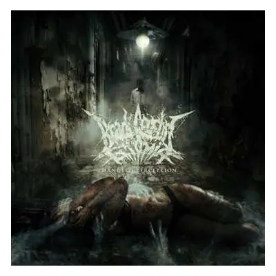 CD Bradi Cerebri Ectomia: Mangled Perception