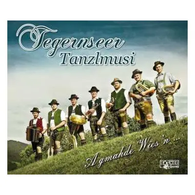 CD Tegernseer Tanzlmusi: A Gmahde Wies'n...