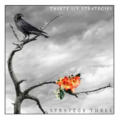 CD Thirty Six Strategies: Strategy Three