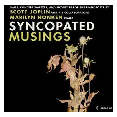 CD Marilyn Nonken: Syncopated Musings