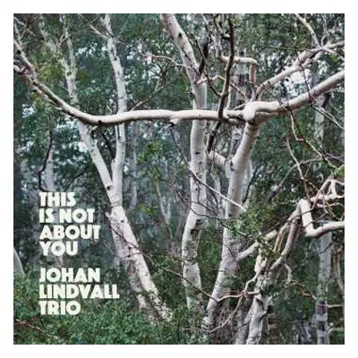 CD Johan Lindvall Trio: This Is Not About You