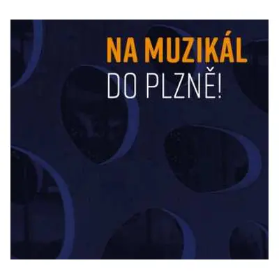 2CD Various: Na Muzikál Do Plzně!