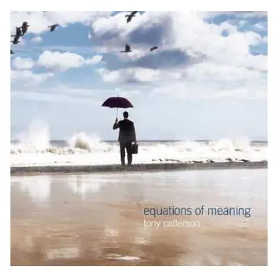 CD Tony Patterson: Equations Of Meaning