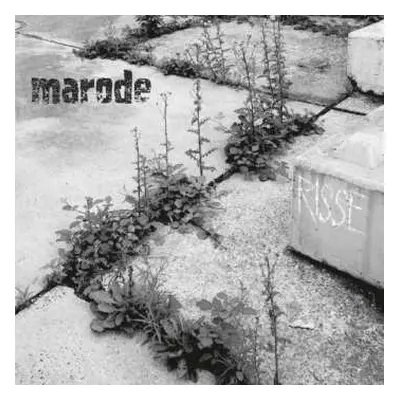 LP Marode: Risse LTD