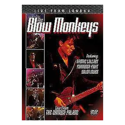 DVD The Blow Monkeys: Live From London