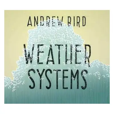 CD Andrew Bird: Weather Systems