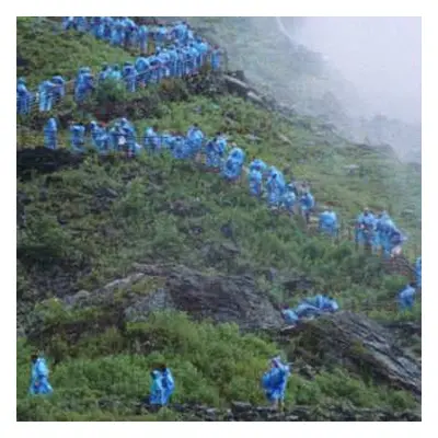 LP Courtney Barnett: End Of The Day (Music From The Film Anonymous Club) CLR