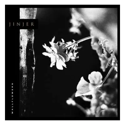 CD Jinjer: Wallflowers DIGI