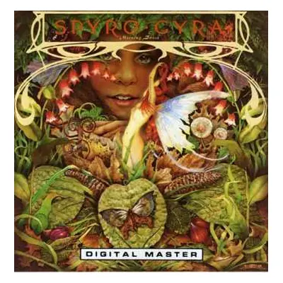 CD Spyro Gyra: Morning Dance