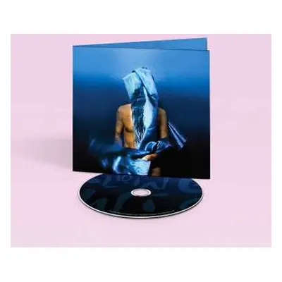 CD Devendra Banhart: Flying Wig