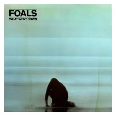 LP Foals: What Went Down