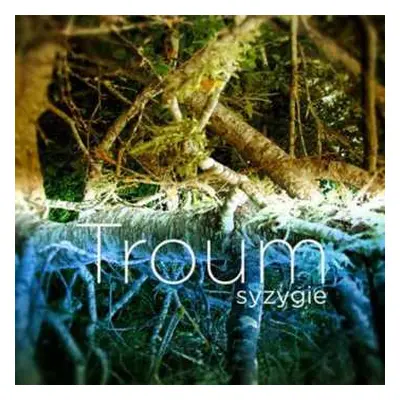 CD Troum: Syzygie