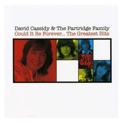 CD David Cassidy: Could It Be Forever... The Greatest Hits