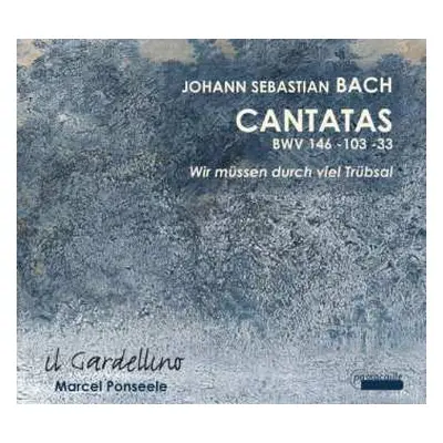 CD Johann Sebastian Bach: Kantaten Bwv 33, 103, 146