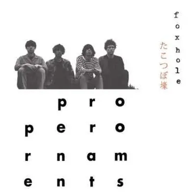 CD The Proper Ornaments: Foxhole