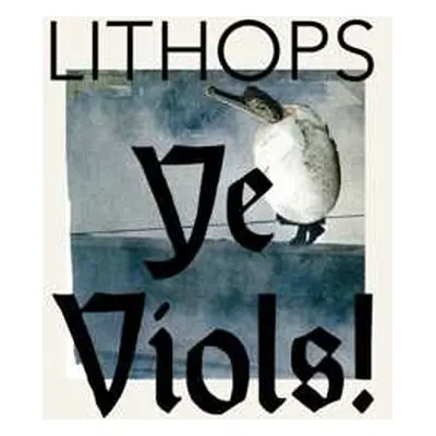 LP Lithops: Ye Viols! LTD