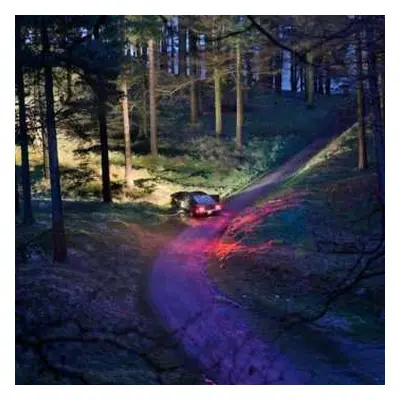 LP Drenge: Undertow