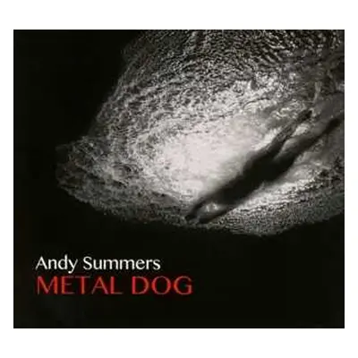 CD Andy Summers: Metal Dog