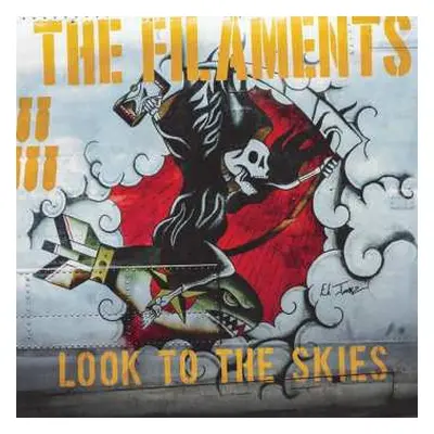 CD The Filaments: Look To The Skies DIGI