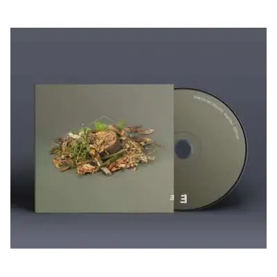 CD Fergus McCreadie: Forest Floor