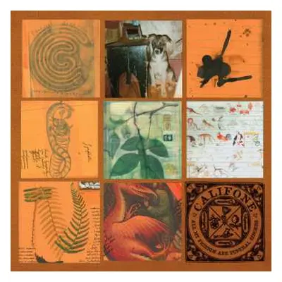 CD Califone: All My Friends Are Funeral Singers